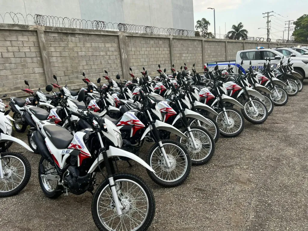 1cec3dd6-6012-4396-afb6-d54c3511e9c7-1024x768