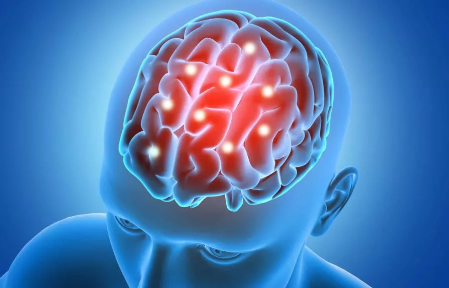 cerebro-freepik-99767bd3-focus-0-0-895-573