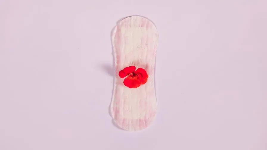 2148025770-7472a240-focus-0-0-896-504